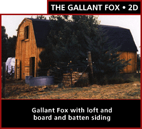 The Gallant Fox 2D